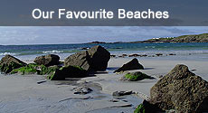 Our Favourite Beaches